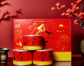 原味瓜子紅色包裝6罐裝