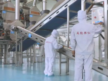 2025年的第一個月，承德亞歐果仁有限公司在山杏產(chǎn)業(yè)的道路上持續(xù)奮進，展現(xiàn)出蓬勃的發(fā)展活力。